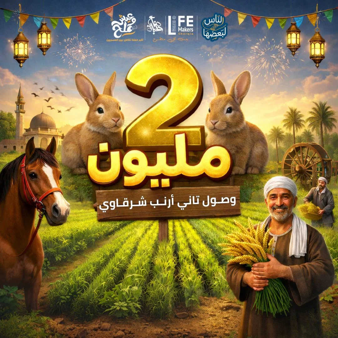 الأرنب التاني وصل